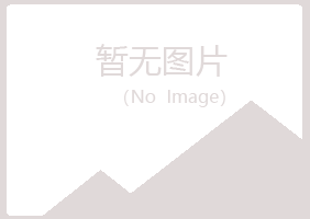 黑河紫山能源有限公司